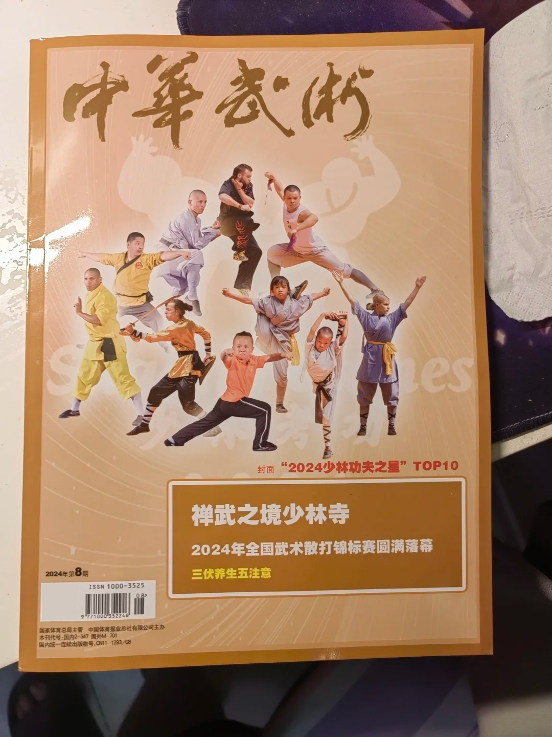 中华武术